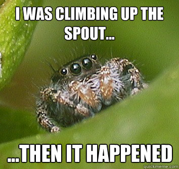 i was climbing up the spout... ...then it happened  Misunderstood Spider