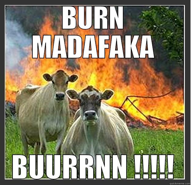 BURN MADAFAKA BUURRNN !!!!! Evil cows