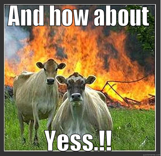 Bitch I'll fuk yu up - AND HOW ABOUT YESS.!! Evil cows