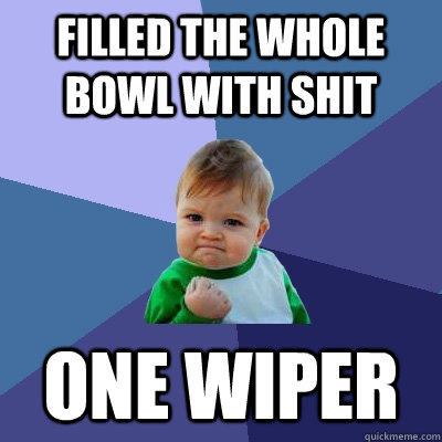 Filled the whole bowl with shit One Wiper   Success Kid