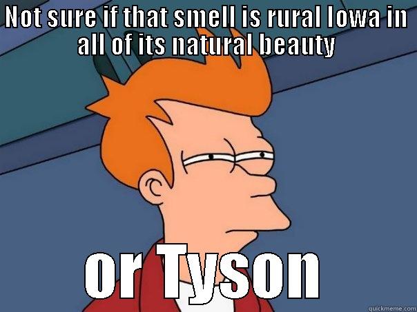 NOT SURE IF THAT SMELL IS RURAL IOWA IN ALL OF ITS NATURAL BEAUTY OR TYSON Futurama Fry