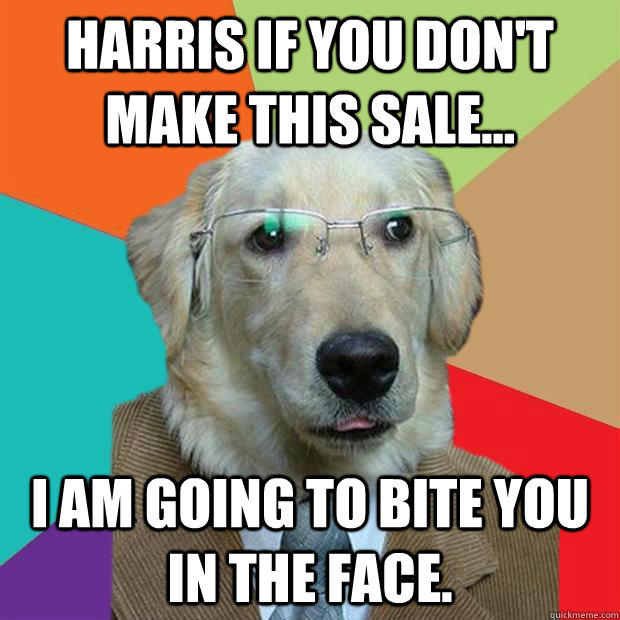 Harris if you don't make this sale... I am going to bite you in the face.  Business Dog