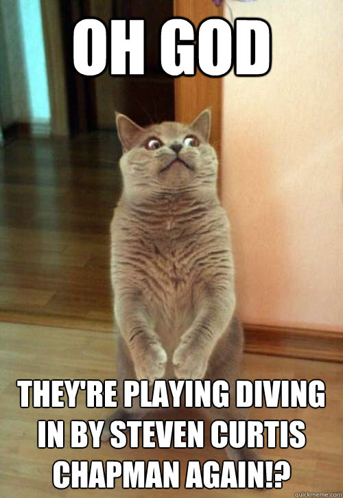 Oh god they're playing diving in by steven curtis chapman AGAIN!?  Horrorcat