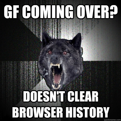 gf coming over? doesn't clear browser history  Insanity Wolf