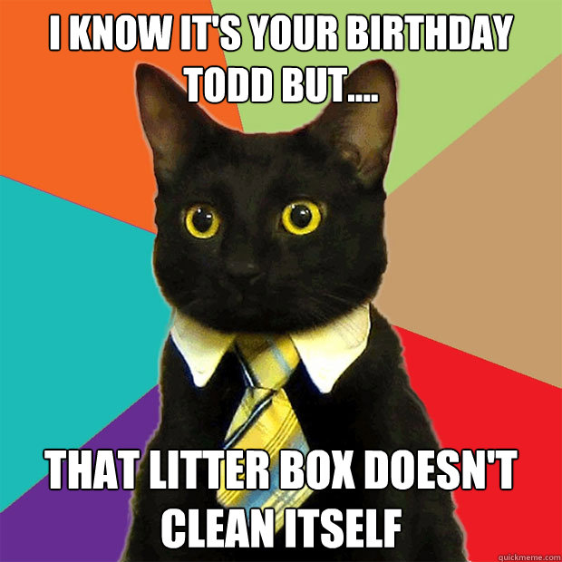 I know it's your birthday Todd but.... That litter box doesn't clean itself  Business Cat