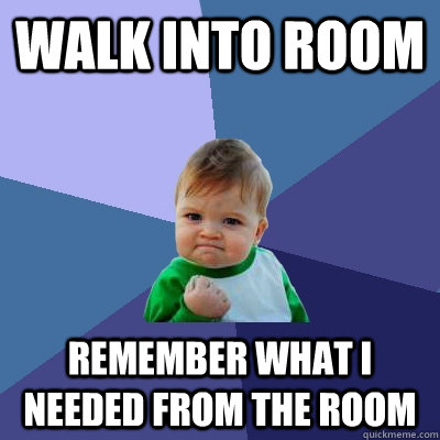 Walk into room remember what i needed from the room  Success Kid