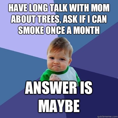 have long talk with mom about trees, ask if I can smoke once a month ANSWER IS MAYBE  Success Kid