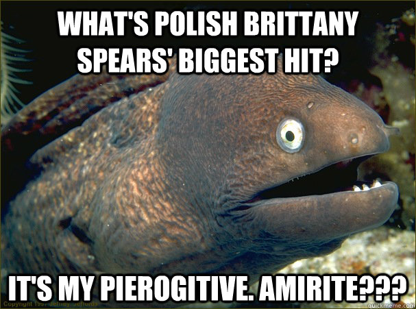 what's polish brittany spears' biggest hit? it's my pierogitive. AMIRITE???  Bad Joke Eel