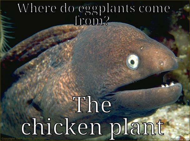 Brb joke - WHERE DO EGGPLANTS COME FROM?  THE CHICKEN PLANT Bad Joke Eel