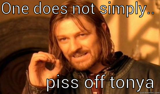 ONE DOES NOT SIMPLY..             PISS OFF TONYA Boromir