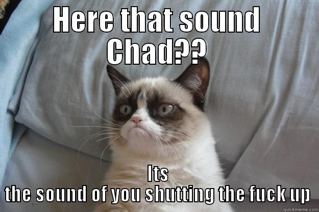 shut up - HERE THAT SOUND CHAD?? ITS THE SOUND OF YOU SHUTTING THE FUCK UP Grumpy Cat