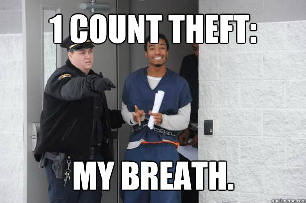 1 count theft: my breath.  Ridiculously Photogenic Prisoner