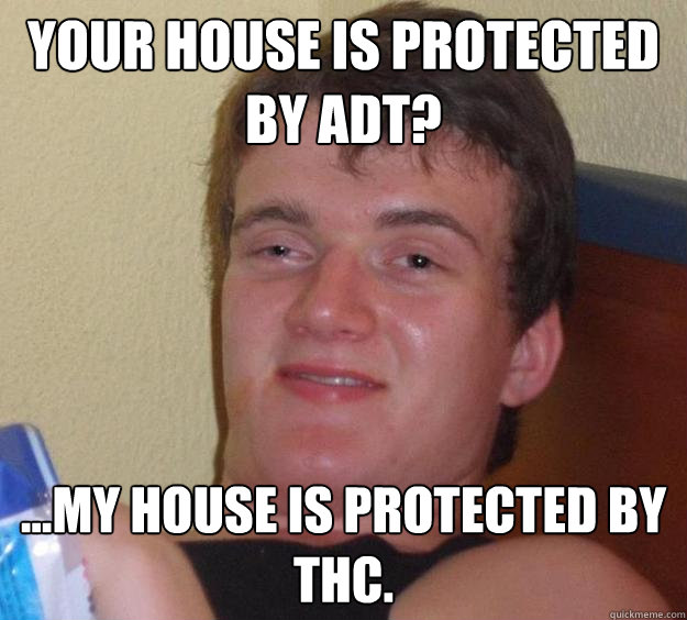 Your house is protected by ADT? ...MY HOUSE IS PROTECTED BY THC.  10 Guy