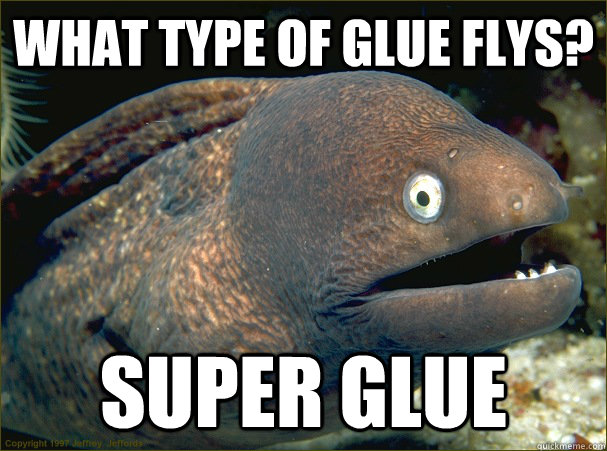 What type of glue flys? Super Glue - What type of glue flys? Super Glue  Bad Joke Eel