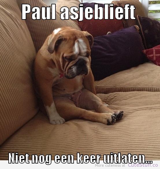       PAUL ASJEBLIEFT            NIET NOG EEN KEER UITLATEN...   Misc