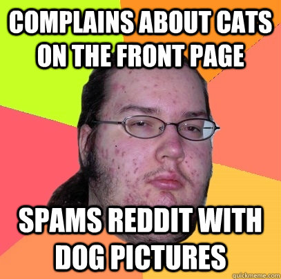 Complains about cats on the front page spams reddit with dog pictures - Complains about cats on the front page spams reddit with dog pictures  Butthurt Dweller