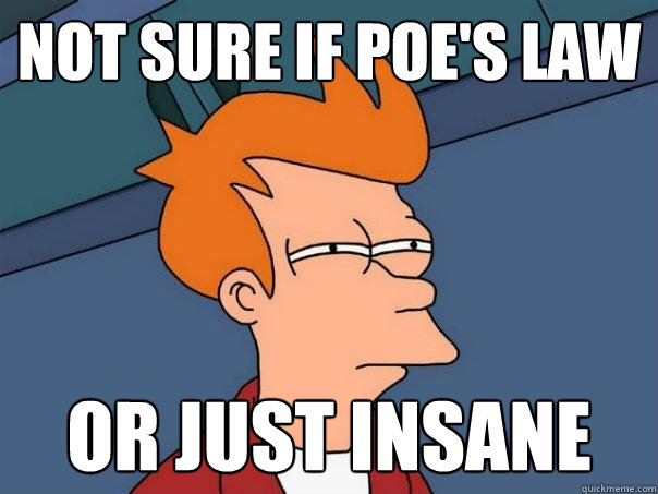 Not sure if poe's law or just insane  Futurama Fry