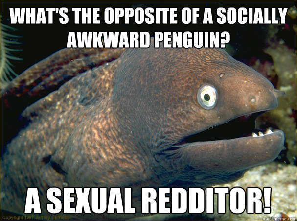 What's the opposite of a socially awkward penguin? A sexual redditor!  Bad Joke Eel