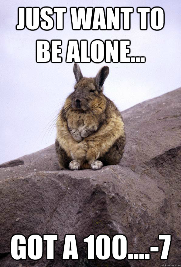 just want to be alone... got a 100....-7  Wise Wondering Viscacha