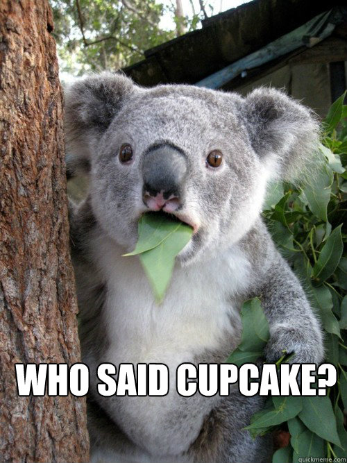  WHO SAID CUPCAKE? -  WHO SAID CUPCAKE?  koala bear