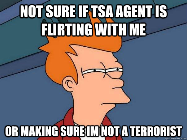 Not sure if TSA agent is flirting with me or making sure im not a terrorist - Not sure if TSA agent is flirting with me or making sure im not a terrorist  Futurama Fry