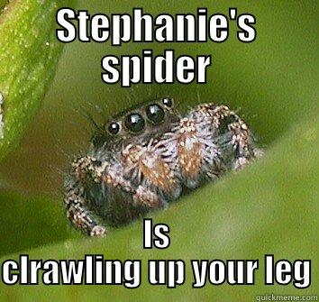 STEPHANIE'S SPIDER IS CLRAWLING UP YOUR LEG Misunderstood Spider