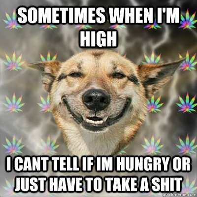 sometimes when i'm high i cant tell if im hungry or just have to take a shit  Stoner Dog