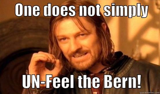      ONE DOES NOT SIMPLY             UN-FEEL THE BERN!      Boromir