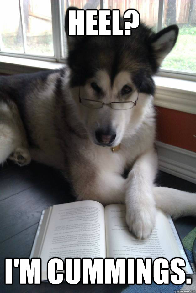 Heel? I'm Cummings.  Condescending Literary Pun Dog