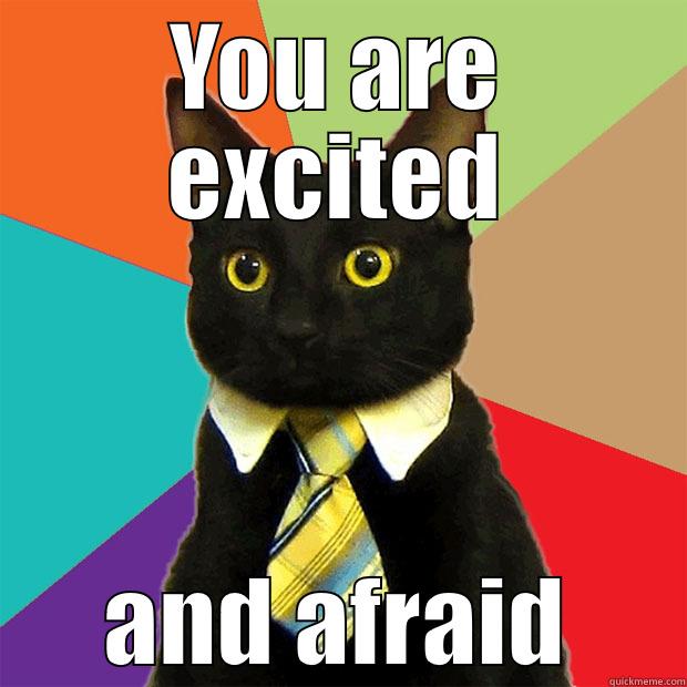 YOU ARE EXCITED AND AFRAID Business Cat