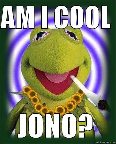 AM I COOL  JONO? Misc