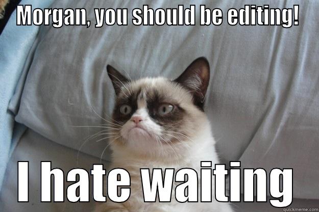 MORGAN, YOU SHOULD BE EDITING! I HATE WAITING Grumpy Cat