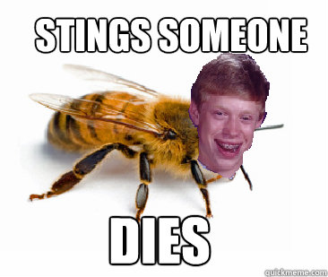 stings someone dies - stings someone dies  Bad Luck Brian- bee