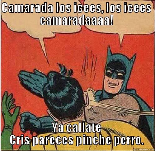 CAMARADA LOS ICEES, LOS ICEES CAMARADAAAA! YA CALLATE CRIS PARECES PINCHE PERRO. Batman Slapping Robin