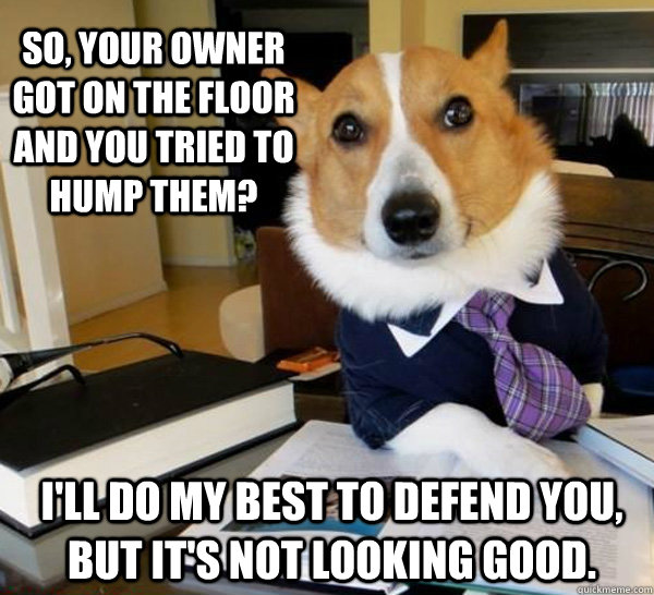 So, your owner got on the floor and you tried to hump them? I'll do my best to defend you, but it's not looking good.  Lawyer Dog