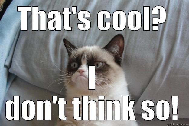 THAT'S COOL? I DON'T THINK SO! Grumpy Cat