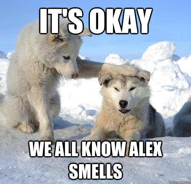 It's okay
 We all know Alex smells  Caring Husky