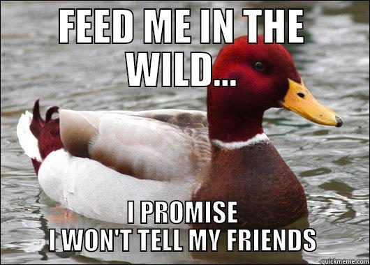 FEED ME IN THE WILD... I PROMISE I WON'T TELL MY FRIENDS Malicious Advice Mallard