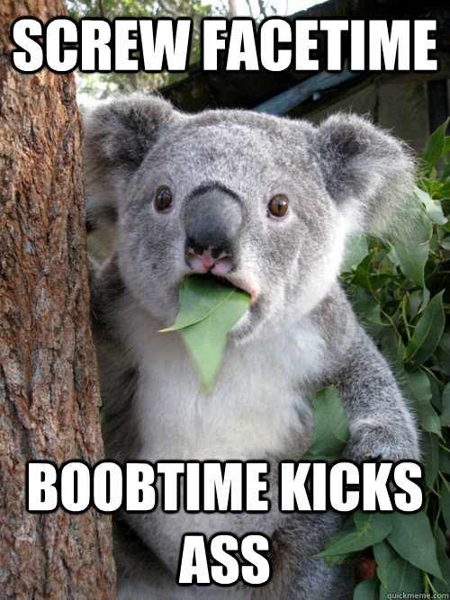 Screw facetime Boobtime kicks ass - Screw facetime Boobtime kicks ass  koala bear