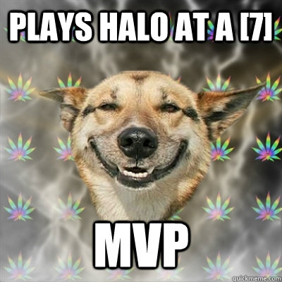 Plays Halo at a [7] MVP - Plays Halo at a [7] MVP  Stoner Dog