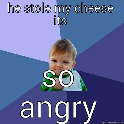 HE STOLE MY CHEESE ITS SO ANGRY Success Kid