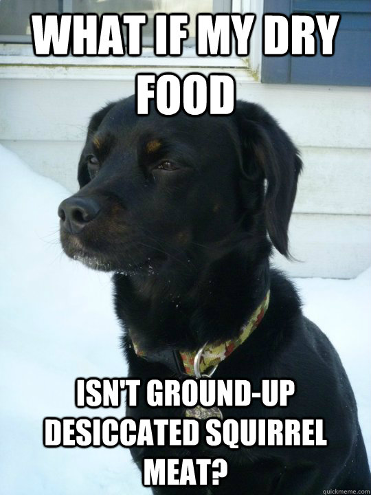 What if my dry food isn't ground-up desiccated squirrel meat?  Philosophical Puppy