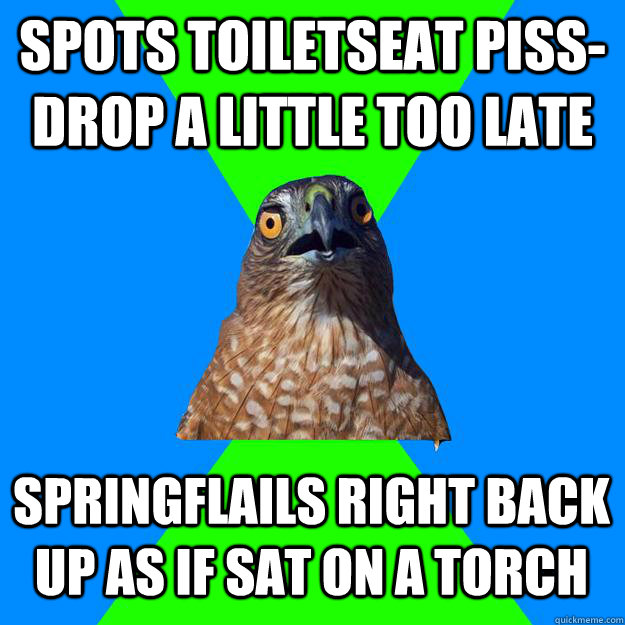 Spots toiletseat piss-drop a little too late Springflails right back up as if sat on a torch  Hawkward