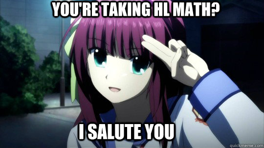 You're Taking HL math? I salute you  ib meme