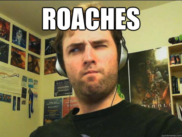 roaches
   