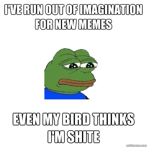 I've run out of imagination for new memes even my bird thinks i'm shite  Sad Frog