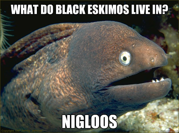 What do black eskimos live in? Nigloos  Bad Joke Eel