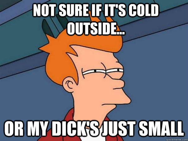 Not sure if it's cold outside... or my dick's just small - Not sure if it's cold outside... or my dick's just small  Futurama Fry