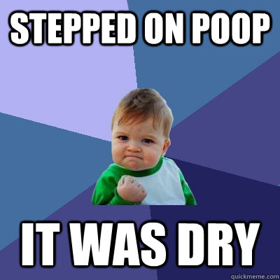 stepped on poop it was dry  Success Kid