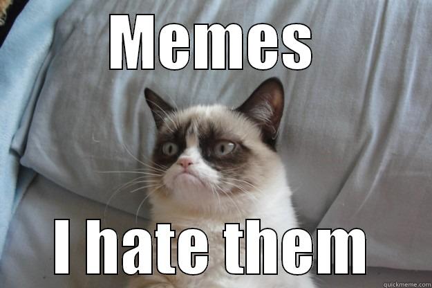 Grumpy Cat - MEMES I HATE THEM Grumpy Cat